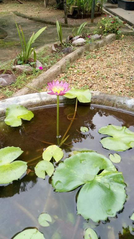 Leisure In Galle Kültér fotó